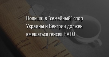 Польша: в "семейный" спор Украины и Венгрии должен вмешаться генсек НАТО