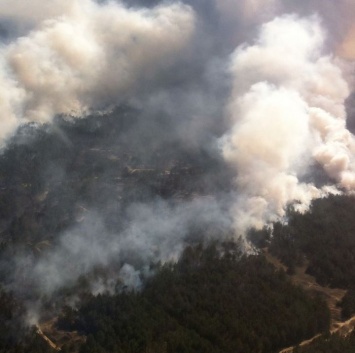 К ликвидации масштабного лесного пожара в Херсонской области привлекли авиацию (ФОТО)