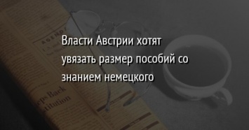 Власти Австрии хотят увязать размер пособий со знанием немецкого