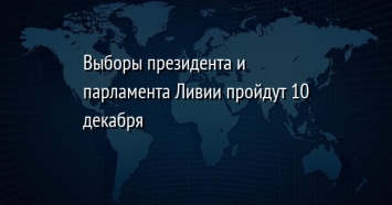 Выборы президента и парламента Ливии пройдут 10 декабря