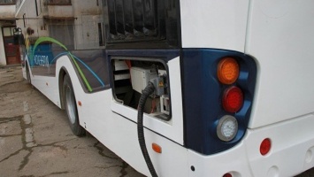 В Крыму "рогатых" могут заменить электробусы