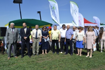 В николаевской «Аграрке» отметили Международный день поля