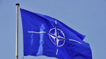 В НАТО призвали Россию прекратить вмешательство в Украину