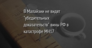 В Малайзии не видят "убедительных доказательств" вины РФ в катастрофе MH17