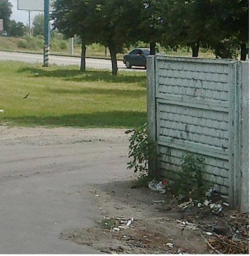 Вот и лето пришло: в Павлограде от укуса гадюк пострадали дети