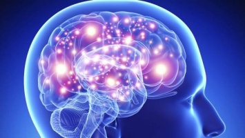 Мыслить негативно: мозг человека способен предсказывать боль