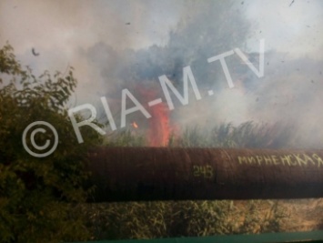 В Мелитополе масштабный пожар рядом с АЗС (видео)