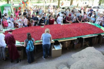 В Днепре установлен национальный «клубничный» рекорд