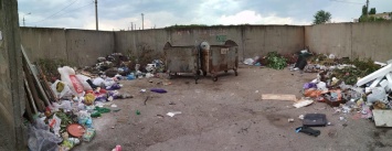 В Кривом Роге ищут контейнерные площадки, заваленные мусором