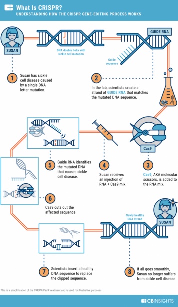 Первый опыт генной терапией с участием CRISPR-Cas9 отменен в США