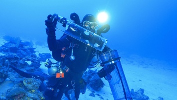 Ученые впервые подняли живых глубинных рыб к поверхности океана