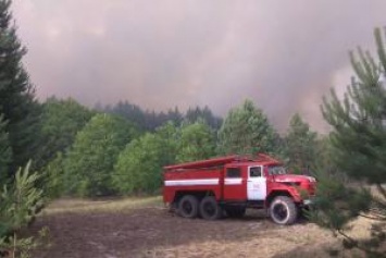 Лесной пожар в зоне ЧАЭС: на месте возгорания найдены факелы, полиция проверяет версию о поджоге