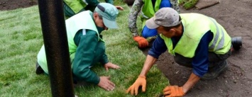 Спустя неделю после открытия в Кривом Роге памятника кошевому атаману, высохла клумба, - ФОТО