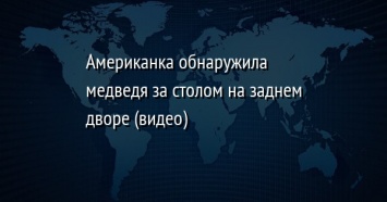 Американка обнаружила медведя за столом на заднем дворе (видео)