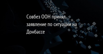 Совбез ООН принял заявление по ситуации на Донбассе