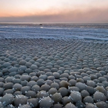 Берег озера был усыпан необычными шарами. Вот чем они оказались на самом деле