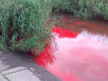 Вода в запорожской реке стала алой (ФОТО)