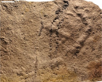Ученые нашли древнейшие следы на Земле - кто их оставил, неизвестно