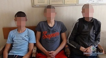 В Бердянске задержаны подозреваемые в совершении разбойного нападения