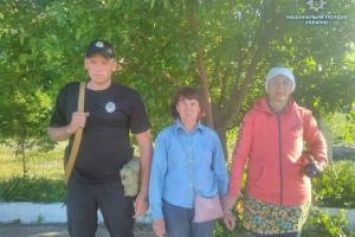 Две пенсионерки из Лисичанска заблудились в лесу