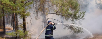 Готовы ли черниговские лесничества к лесным пожарам? Спасатели проверяли