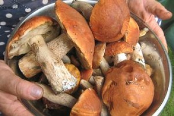 В Лисичанске мужчина поел грибов и умер до приезда скорой помощи