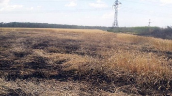 В Покровском районе горело пшеничное поле