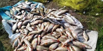 Нерест закончился, а нарушения рыбалки и торговли рыбой - нет (ФОТО)