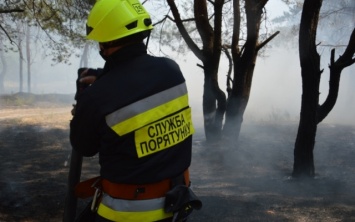 Пожарные Днепра потушили лесной пожар