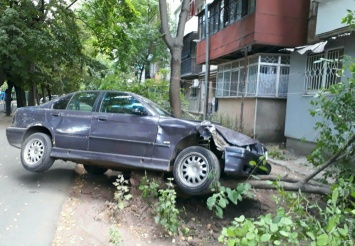 Авария на "Черемушках": таксист на BMW снес дерево во дворе