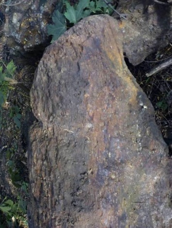 На Днепропетровщине нашли еще одну «каменную бабу»