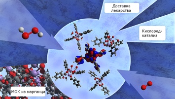 Химики из России выяснили, как создать сверхэффективные антиоксиданты