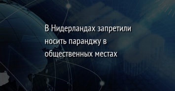 В Нидерландах запретили носить паранджу в общественных местах