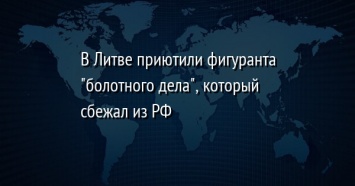 В Литве приютили фигуранта "болотного дела", который сбежал из РФ