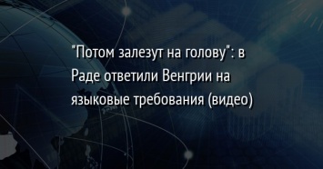 "Потом залезут на голову": в Раде ответили Венгрии на языковые требования (видео)