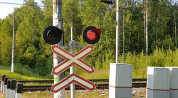 В Запорожской области упавшее дерево стало причиной коллапса на железной дороге (ФОТО)