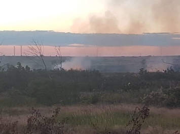 В Бердянске пожар в районе полигона ТБО