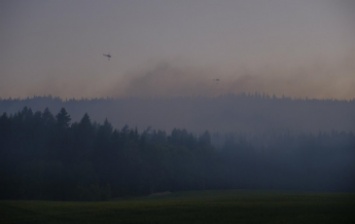 Норвегию охватили лесные пожары