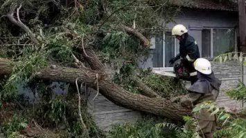 Спасатели Днепропетровщины продолжают убирать поваленные стихией деревья