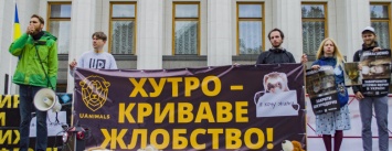 В центре Киева прошла акция против убийства животных ради меха