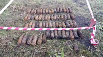 В Казанковском районе селянин искал металлолом и нашел 60 снарядов