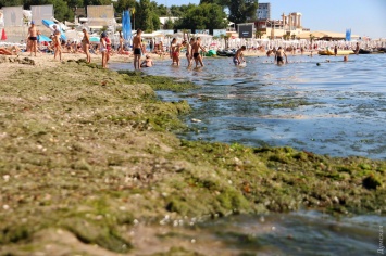 Грязевые фонтаны и гниющие водоросли: Аркадия во время ливня и после него