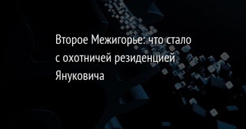 Второе Межигорье: что стало с охотничей резиденцией Януковича