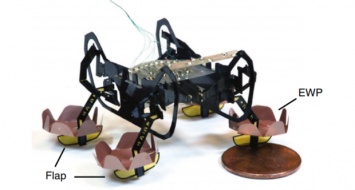 Инженеры модернизировали роботического таракана, который научился бегать по воде