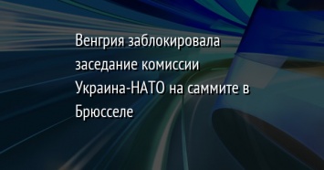 Венгрия заблокировала заседание комиссии Украина-НАТО на саммите в Брюсселе