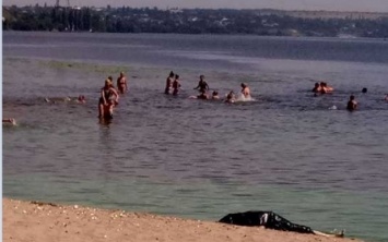 Жители Приднепровска купались рядом с трупом