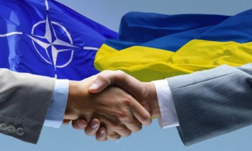 Долгий путь к НАТО: Какую процедуру нужно пройти государству, чтобы стать полноправным членом Альянса