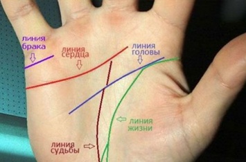 Посмотрите на свои руки: то, как расположена линия сердца, определяет вашу жизнь