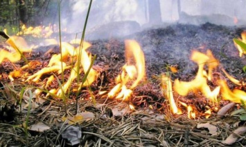 На выходных в Украине сохранится чрезвычайный уровень пожарной опасности, - ГосЧС
