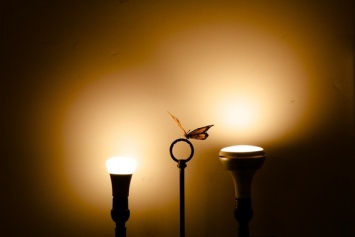 5 причин установить в своем доме умные лампочки